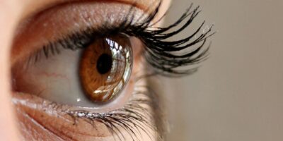 Wimpernlifting Sets für zu Hause - ranking